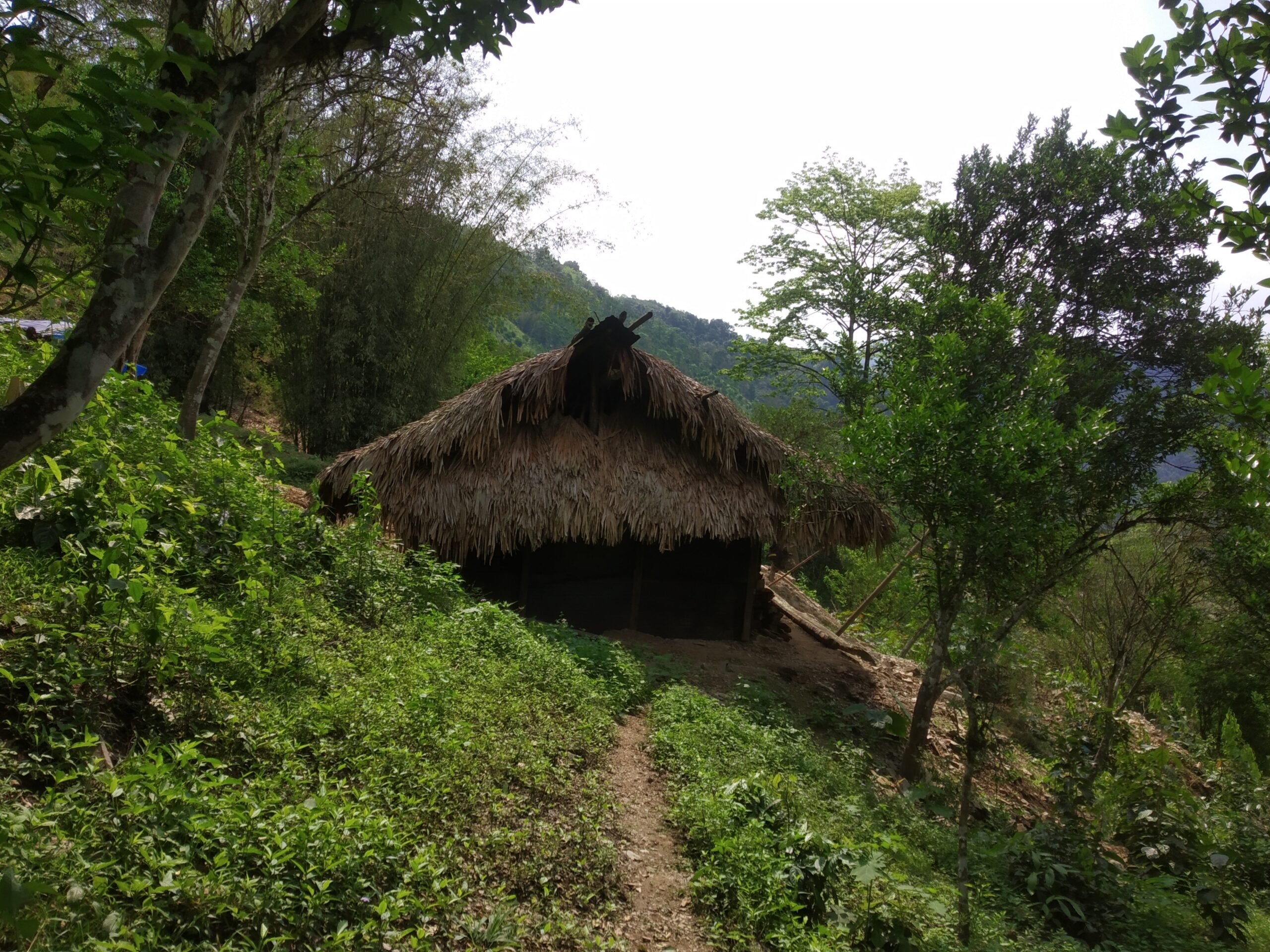 Arunachal: Berung village youths appeals DFO Pasighat Forest