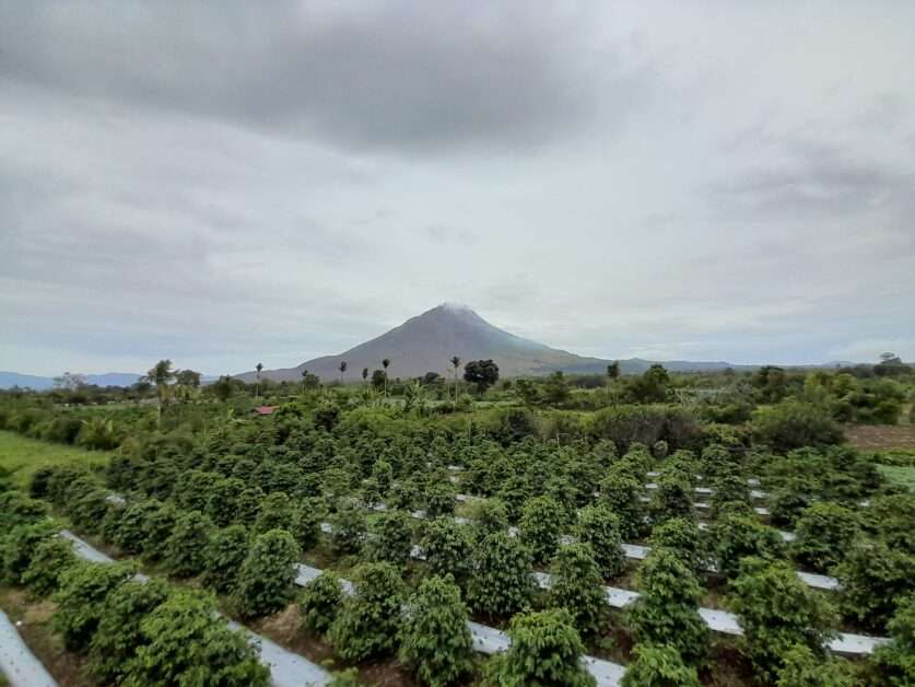 Knowledgetour - Gunung Sinabung