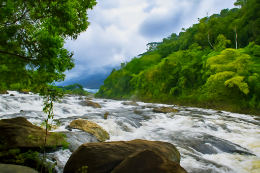 Vazhachal Waterfalls